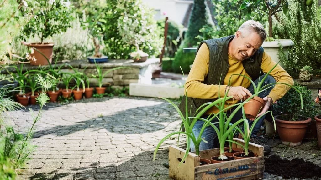 thurcom-phone-telefonie